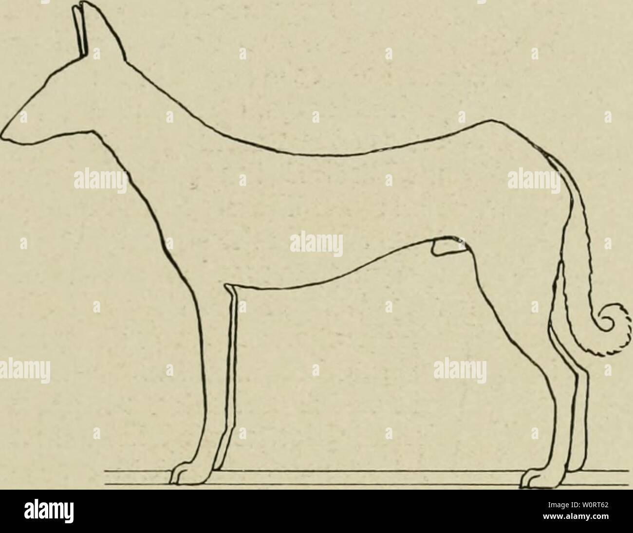 F Xx High Resolution Stock Photography And Images Alamy