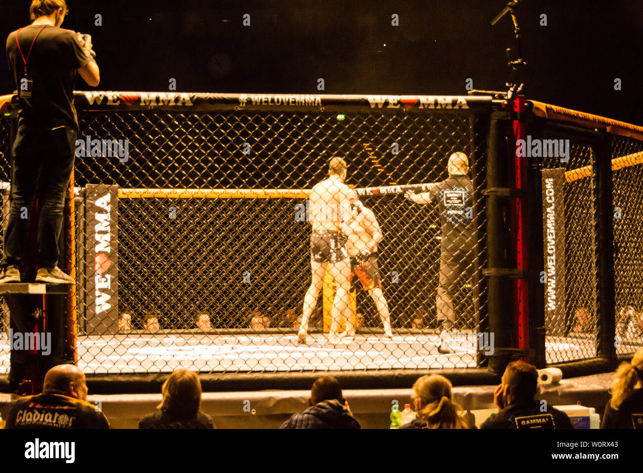 Hamburg, Germany - Nov 18th, 2017: The fight between Roland Krifft and ...