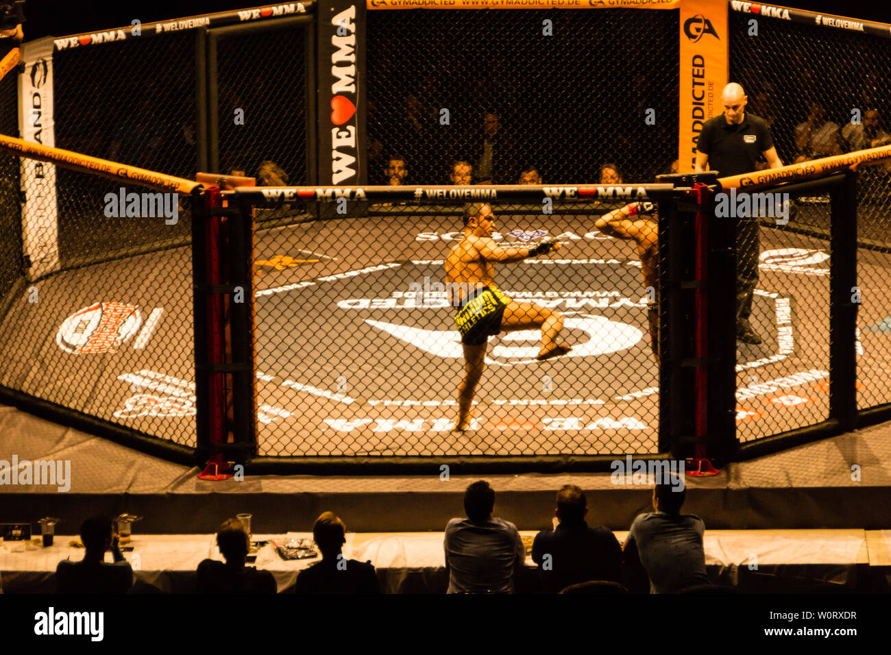 Hamburg, Germany - Nov 18th, 2017: The fight between Alex Wiens and Amir  Shah Bayat during We Love MMA 34 Stock Photo - Alamy
