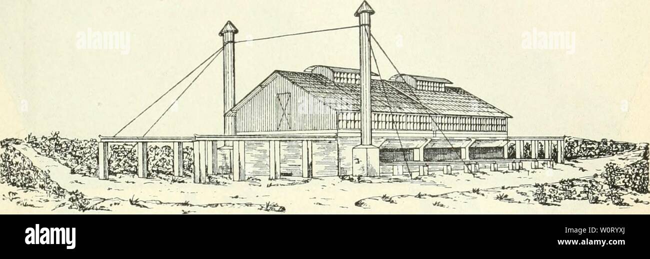 Archive image from page 564 of Der Tropenpflanzer; zeitschrift fr tropische. Der Tropenpflanzer; zeitschrift fr tropische landwirtschaft dertropenpflanze10berl Year:   — 499 - Hölzerne und eiserne Gebäude aller Art Brücken usw. Moskito- bezw. malariasichere Tropenhäuser. Kakao-Trocken-Häuser.    Altona Rainweg', F. H. Schmidt Hamburg' Paulstr. 21. Stock Photo
