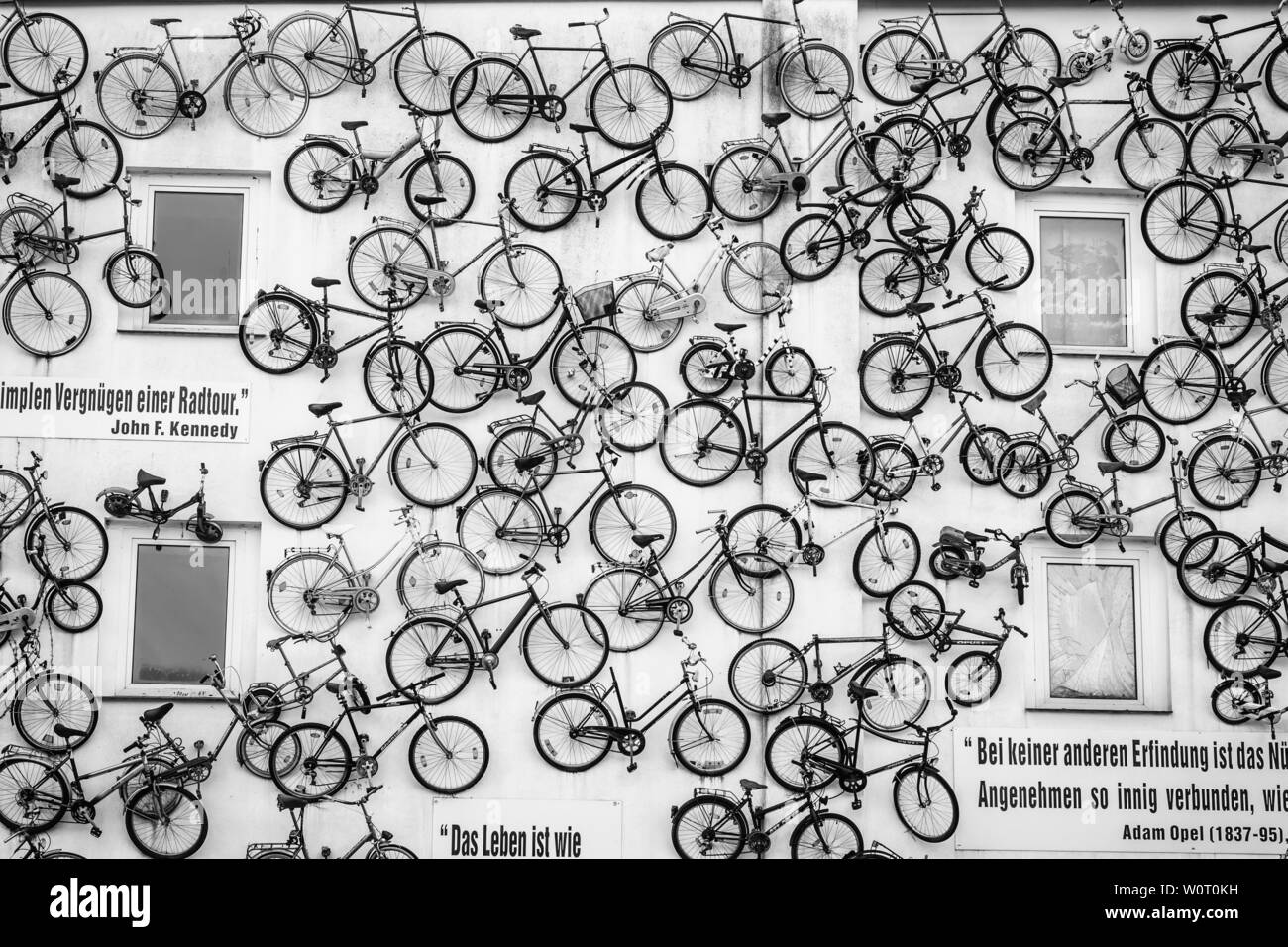 the bicycle store