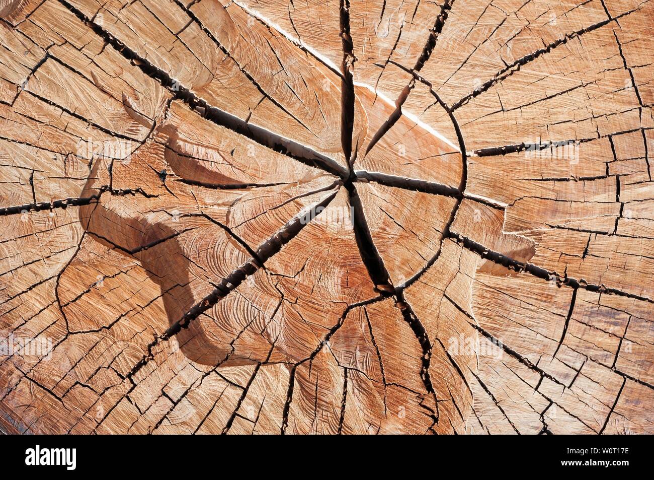 Rustikaler brauner Holz Hintergrund mit Struktureffekt. Stock Photo