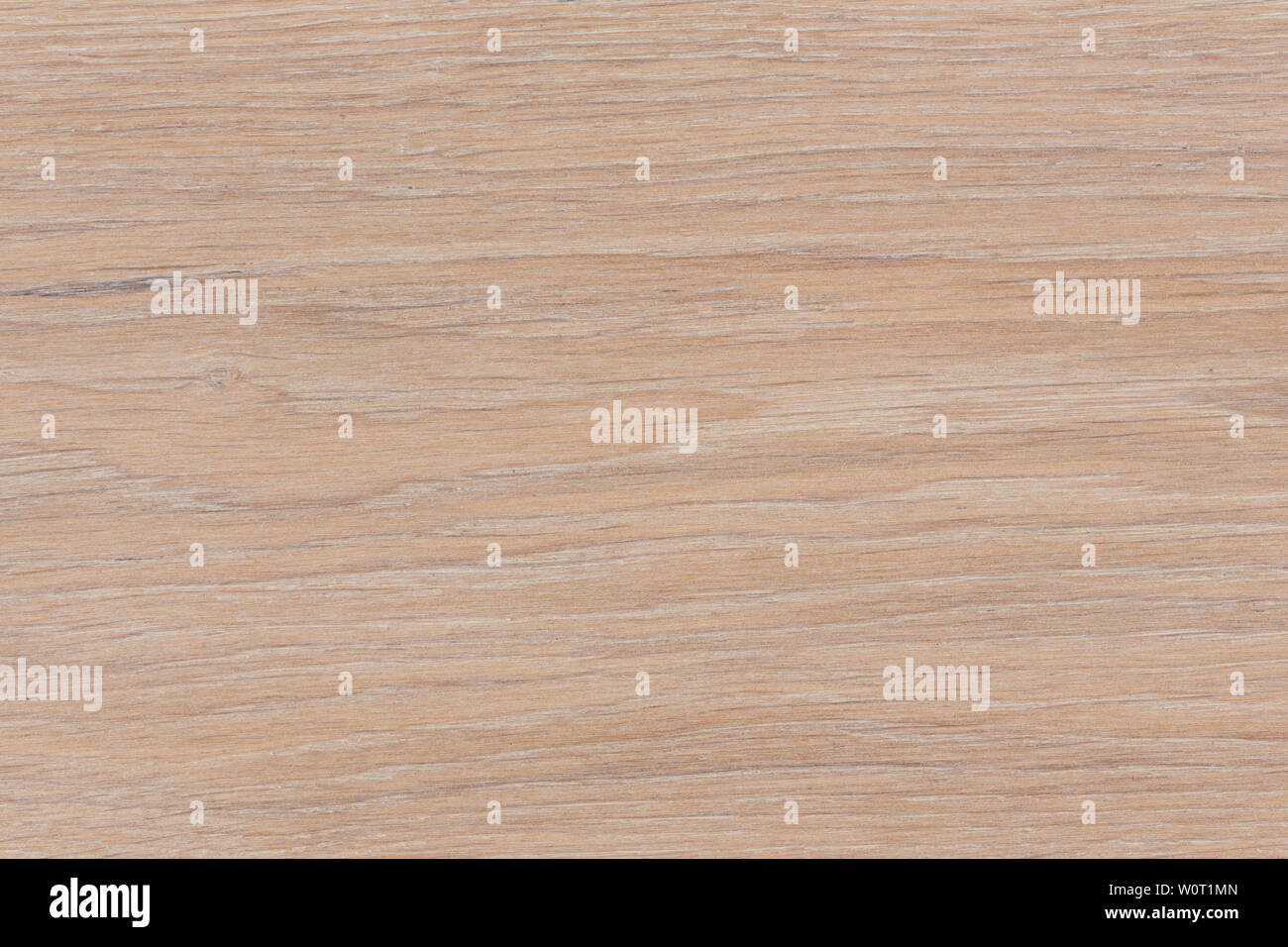 Abstract wood texture with focus on the wood's grain. High resolution