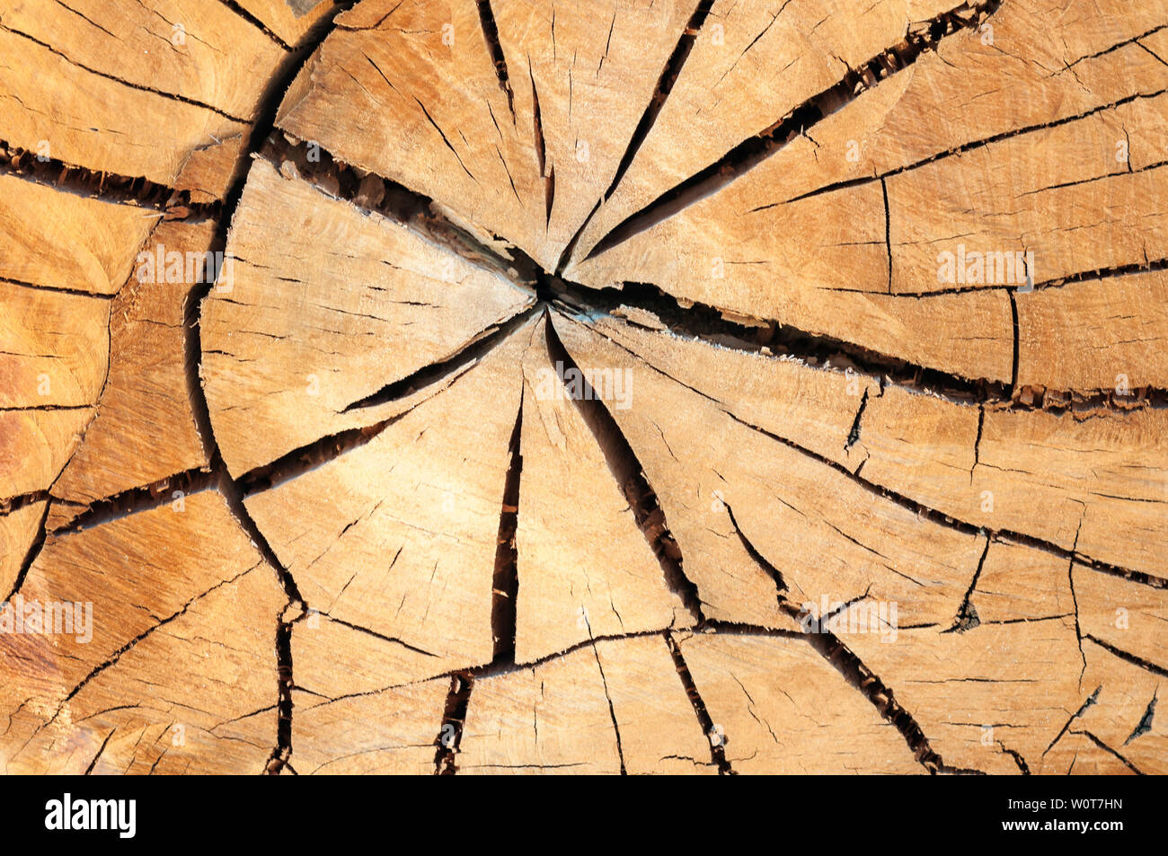 Rustikaler brauner Holz Hintergrund mit Struktureffekt. Stock Photo