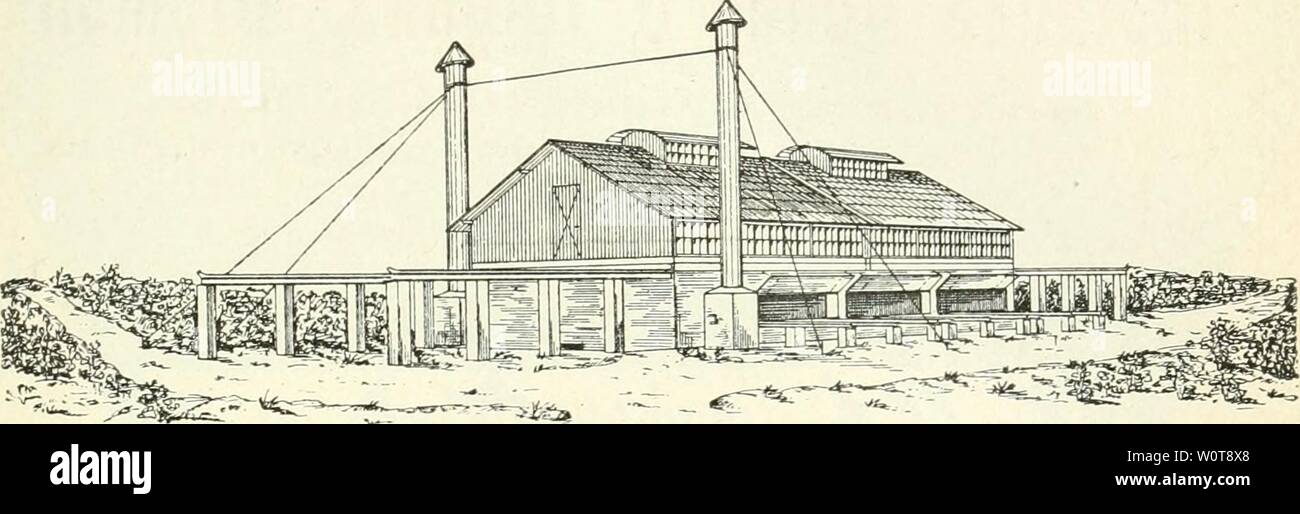 Archive image from page 626 of Der Tropenpflanzer; zeitschrift fr tropische. Der Tropenpflanzer; zeitschrift fr tropische landwirtschaft dertropenpflanze10berl Year:   — 563 - Hölzerne und eiserne Gebäude aller Art Brücken usw. Moskito- bezw. malariasichere Tropenhäuser. Kakao-Trocken-Häuser.    Altona Rainweg. F. H. Schmidt Hamburg: Paulstr. 21. Stock Photo