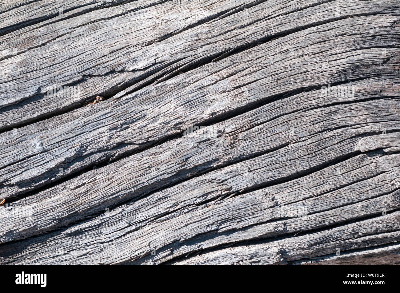 Rustikaler grauer Holz Hintergrund mit Struktureffekt. Stock Photo