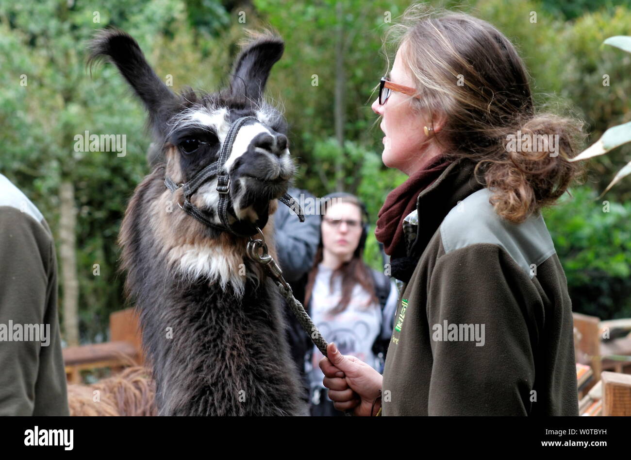Flache landschaften hires stock photography and images Alamy