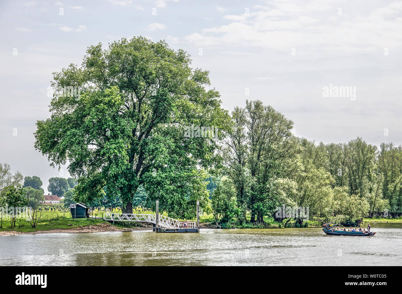 Woudrichem, The Netherlands, June 10, 2019: small ferry boat for pedestrians and cyclist approaching the jetty near Loevestein castle Stock Photo