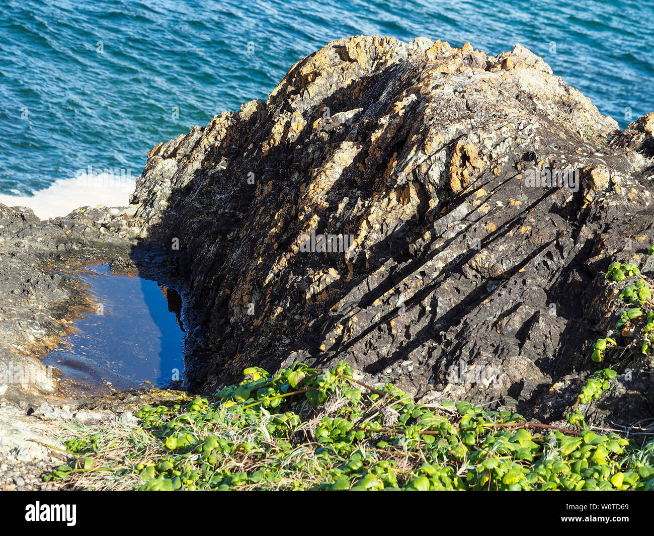 Geometry in nature Stock Photo Alamy
