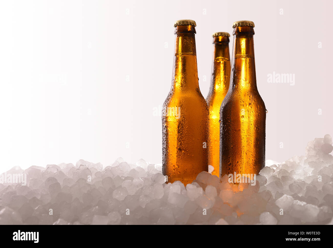 Three full beer bottles on crushed ice and white gradient background . Horizontal composition. Front view. Stock Photo