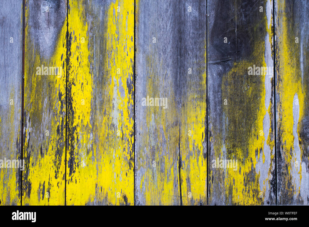 Verwitterter zerkratzter gelb schwarzer Hintergrund aus Holz. Stock Photo