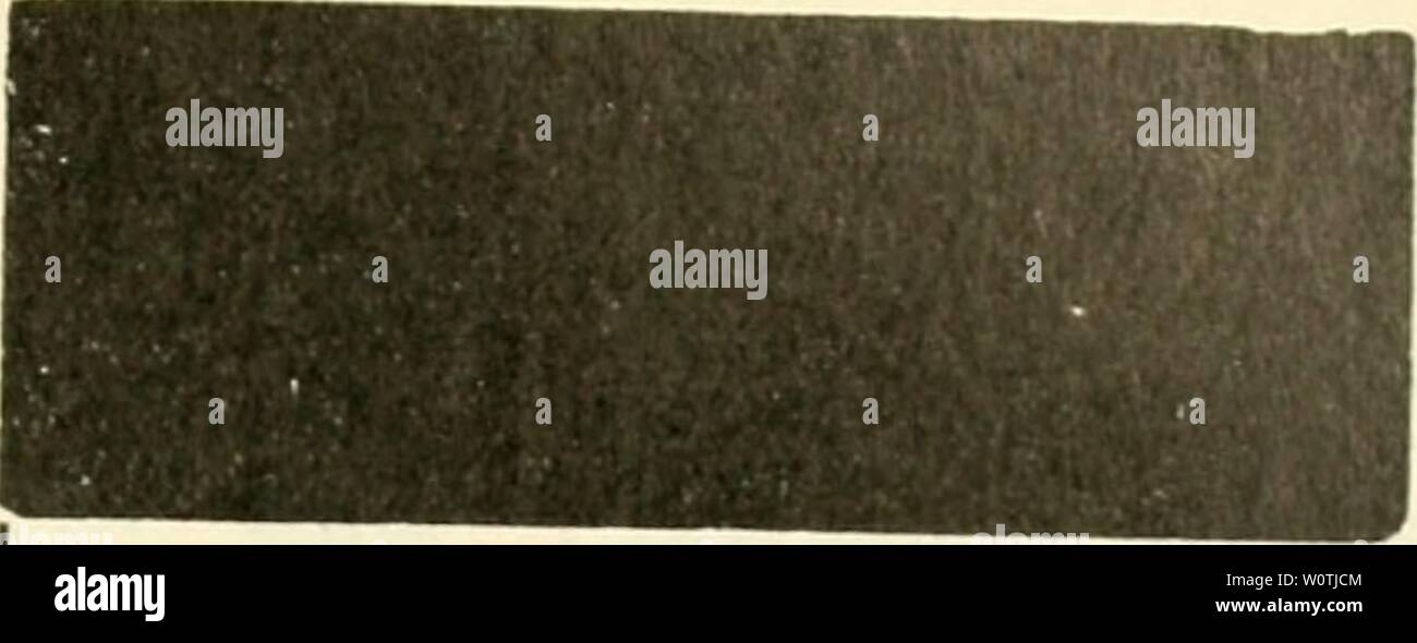 Landwir hi-res stock photography and images - Alamy