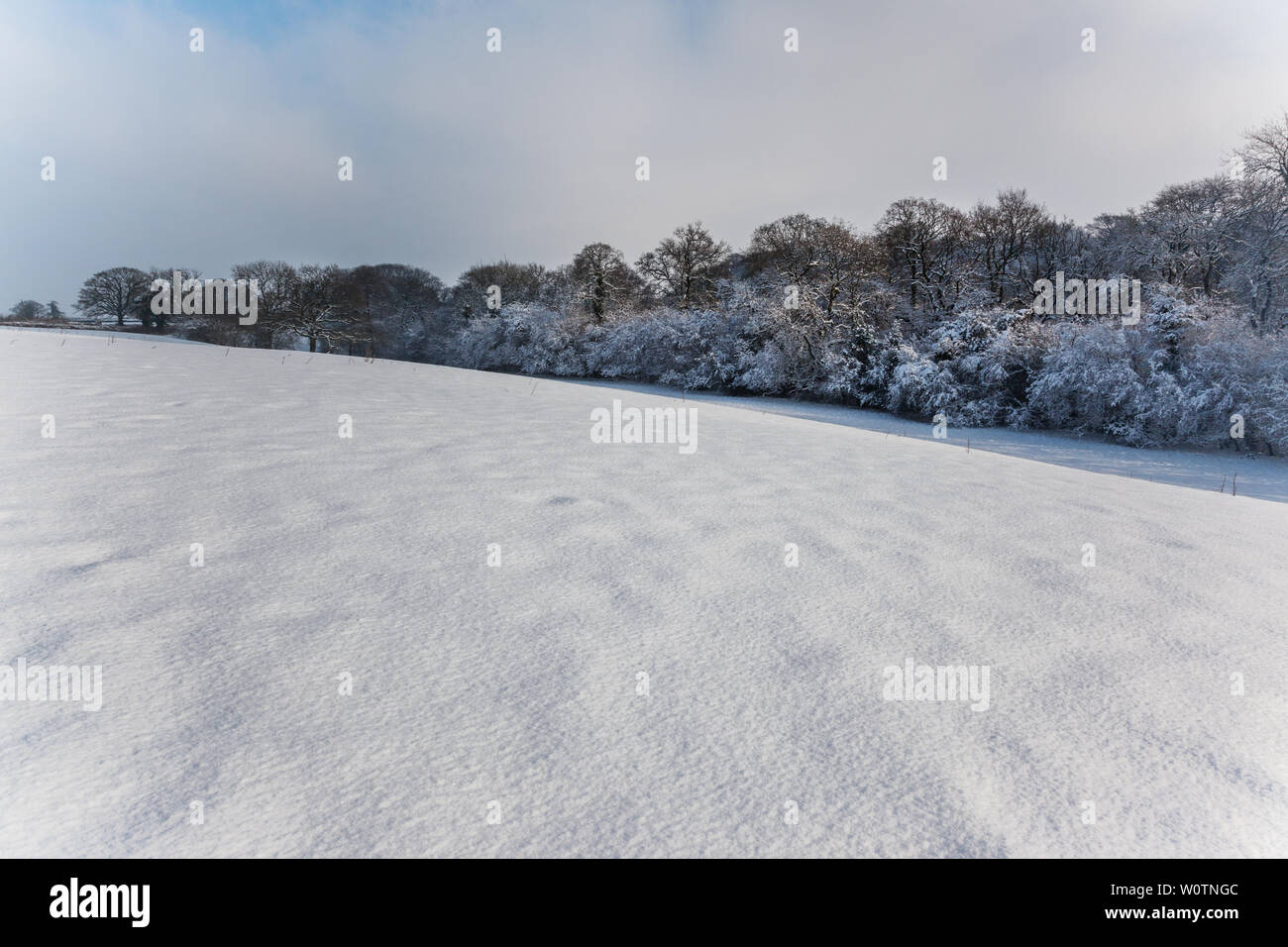 Beautiful winter woodland scene hi-res stock photography and images - Alamy