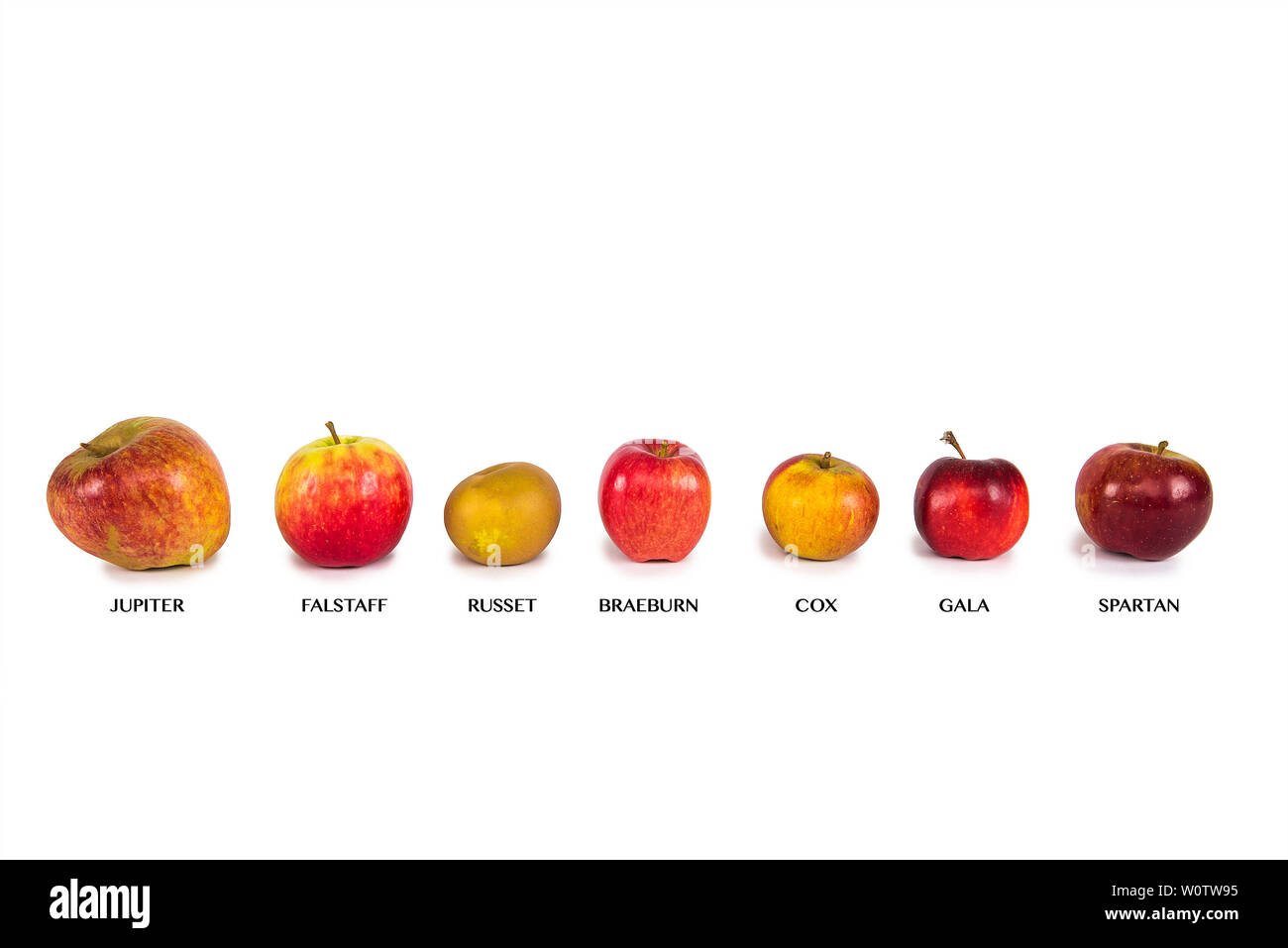 Seven Different Apples On A White Background With Name - 