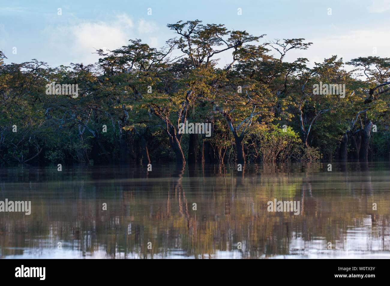 Download Oriente Amazonia Ecuador Gif