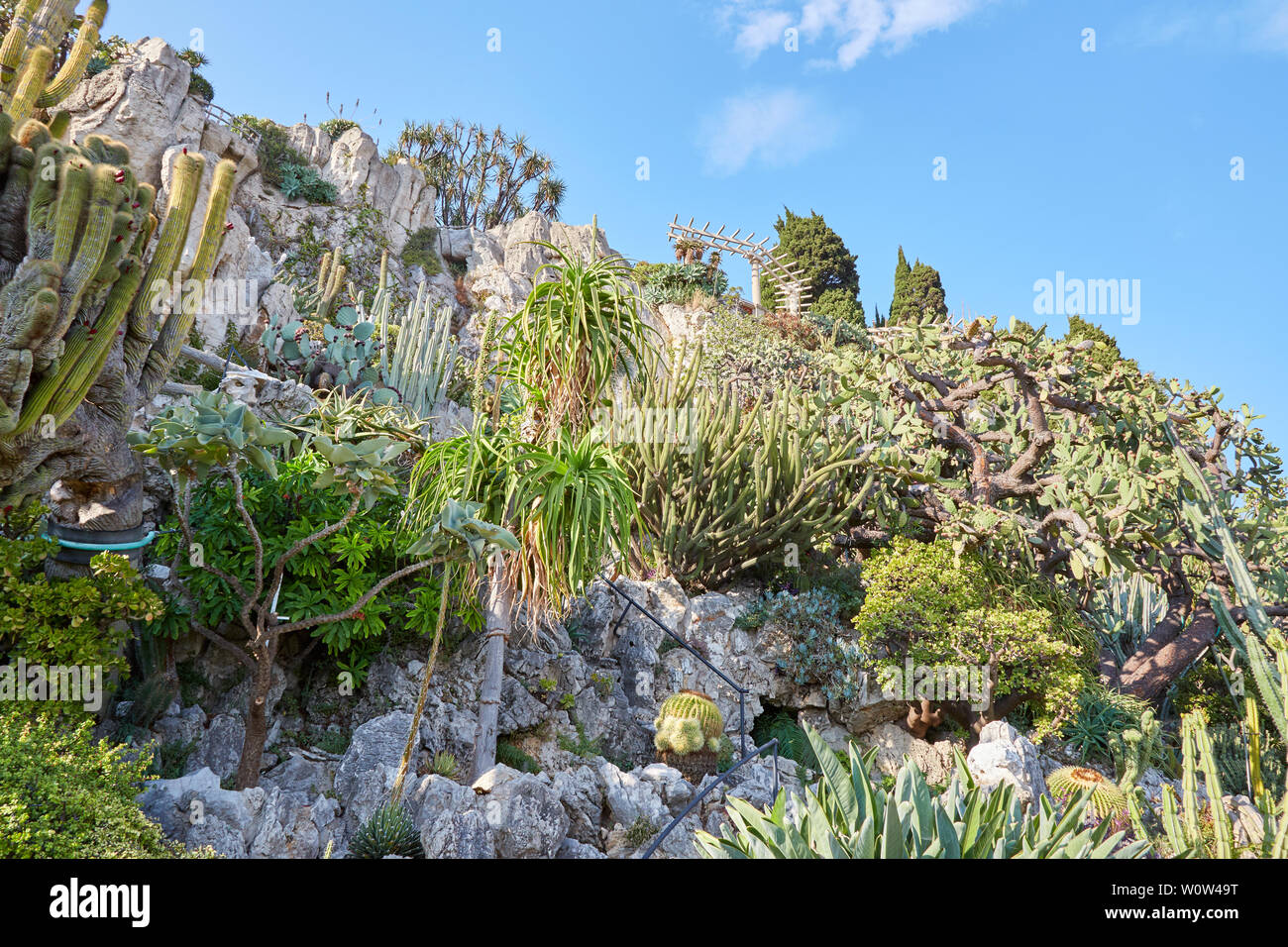 MONTE CARLO, MONACO AUGUST 20, 2016 The exotic garden path cliff