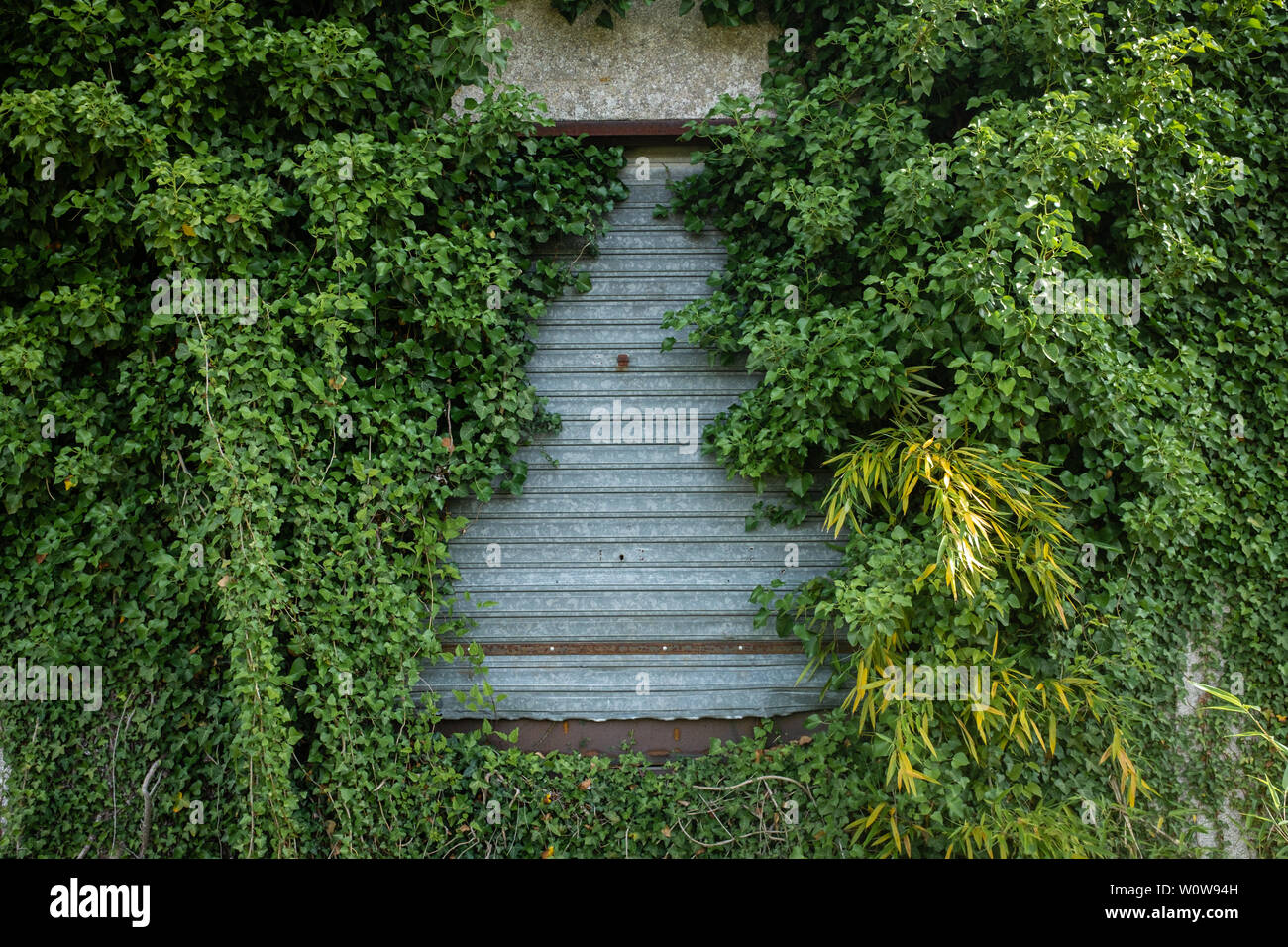Image showcasing Façade of an abandoned industrial site with nature taking over its ...
