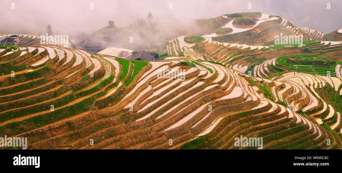 Dragon ridge terraces hi-res stock photography and images - Alamy