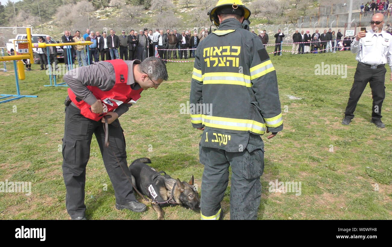 Fire fighting dog hires stock photography and images Alamy