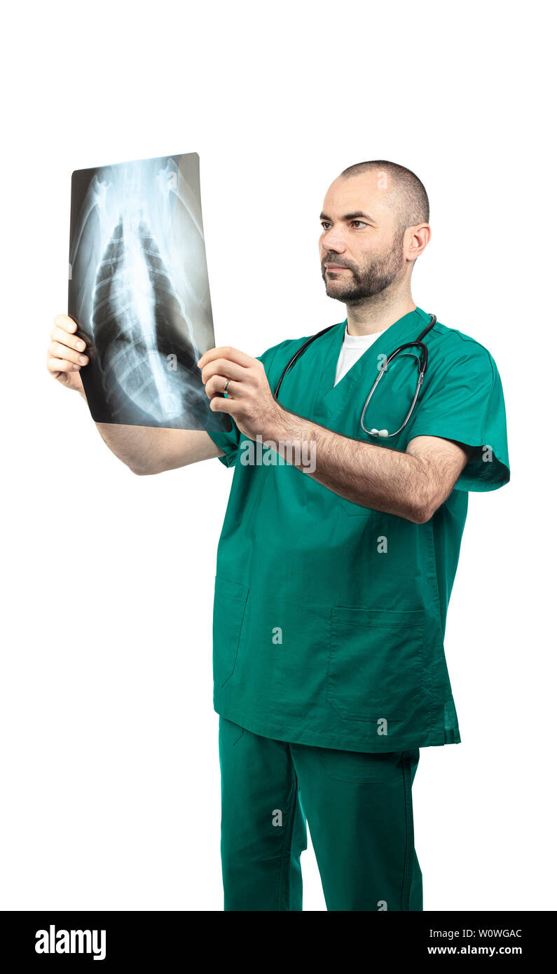 doctor examining a chest x-ray isolated on a white background. Stock Photo