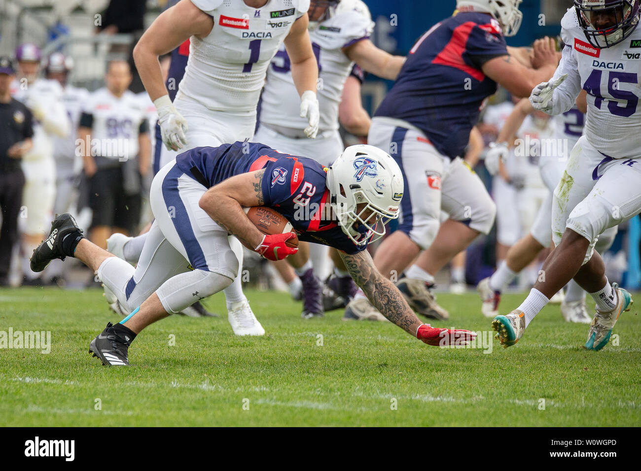 Austrian Football League (AFL), Vienna, Dacia Vikings, Lower Austria