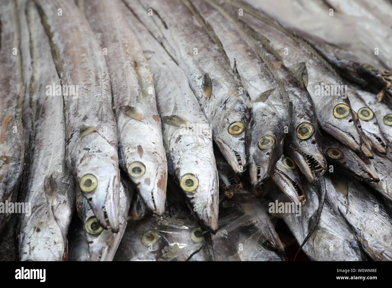 Bring fish hi-res stock photography and images - Alamy