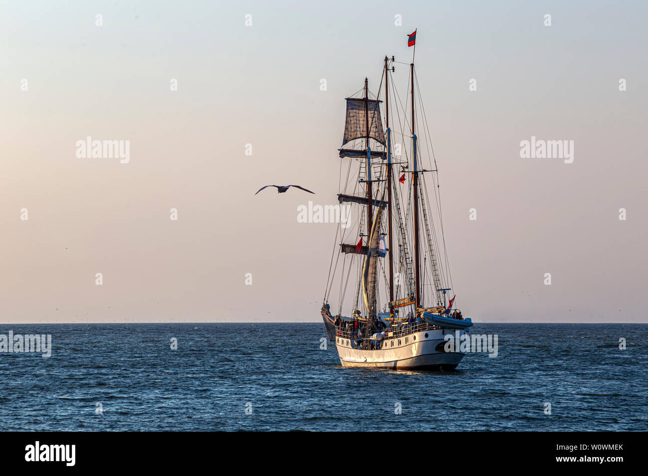 A seagull flying beside an antique tall ship, vessel leaving the harbor of The Hague, Scheveningen under a warm sunset and golden sky Stock Photo