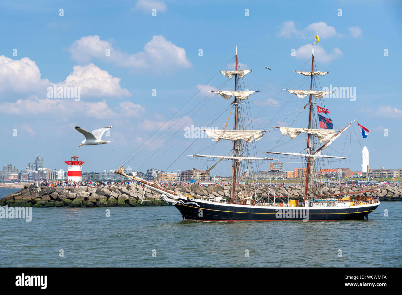 A seagull flying beside an antique tall ship, vessel leaving the harbor of The Hague, Scheveningen under a warm sunset and golden sky Stock Photo