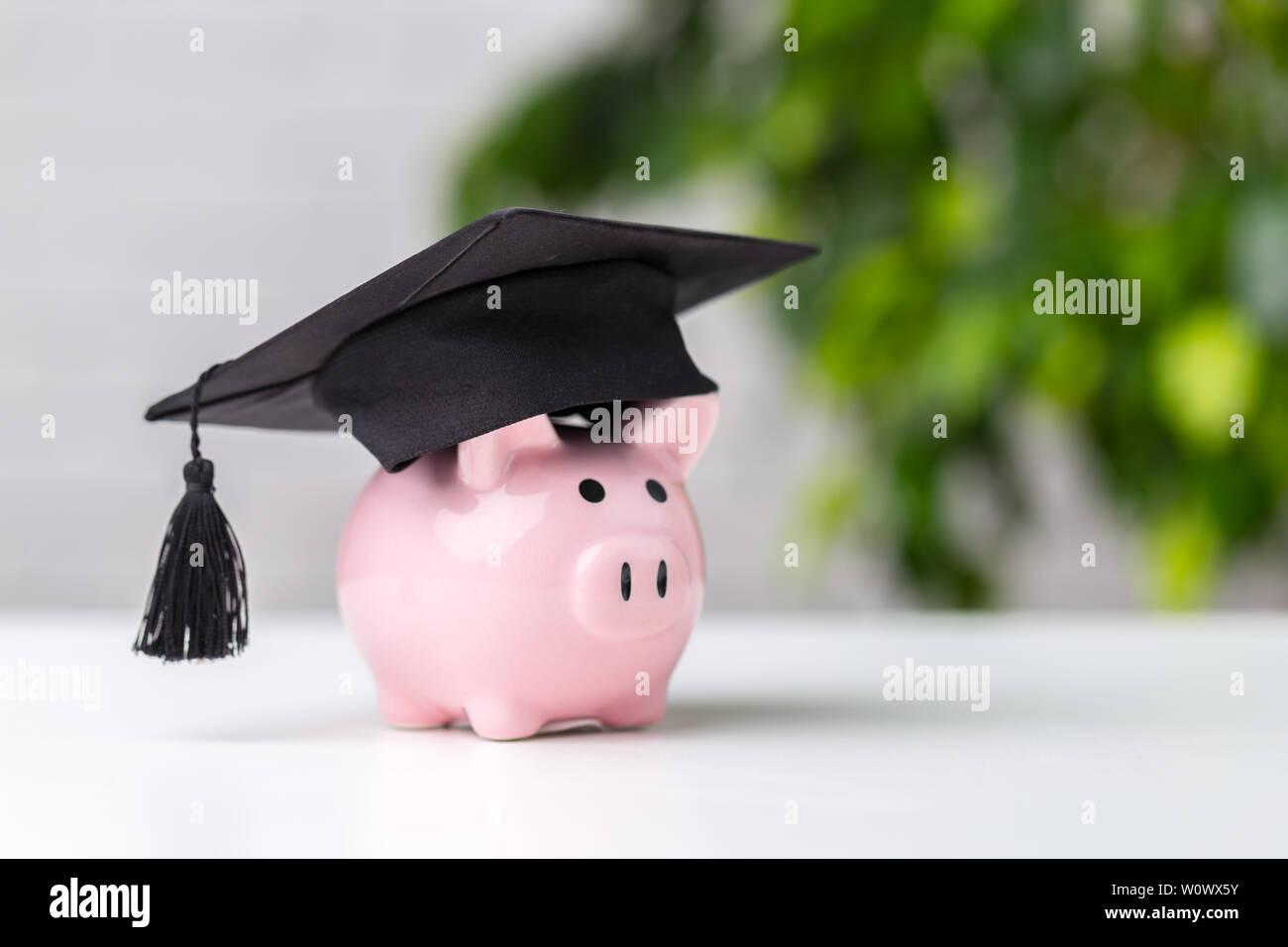 Piggy Bank With Graduation Cap Stock Photo - Alamy