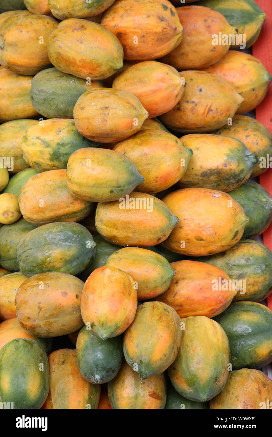 Large papaya fruits hires stock photography and images Alamy