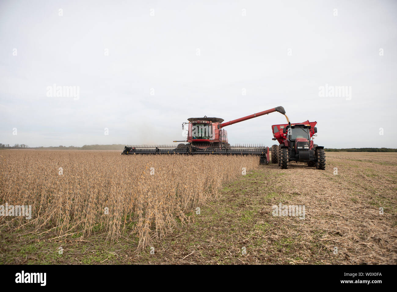 (190628) -- BEIJING, June 28, 2019 (Xinhua) -- Farmers harvest soybeans in Rosario, Argentina, May 2, 2019. (Xinhua/Martin Zabala) Stock Photo
