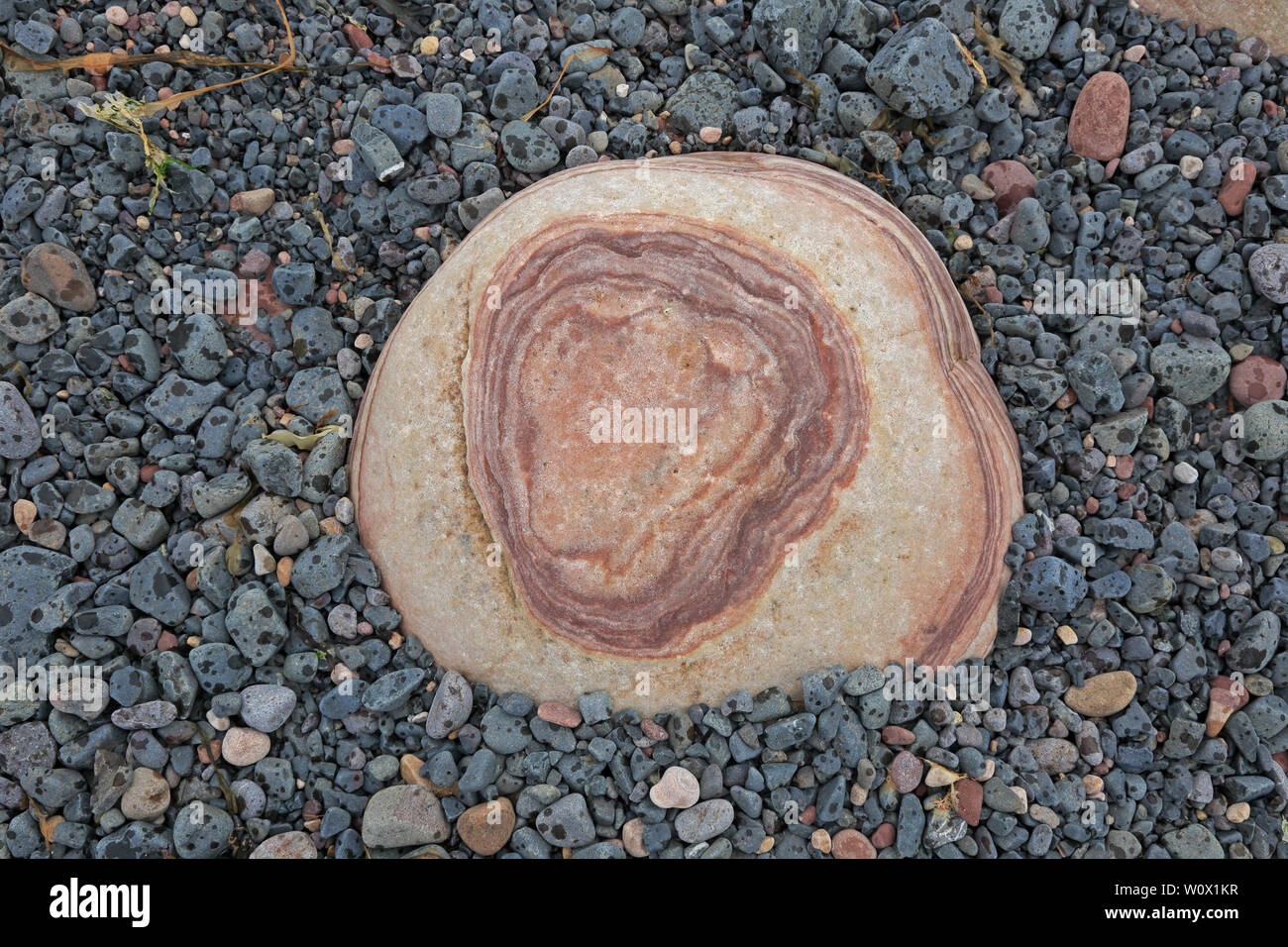 Coloured Pebbles on the beach at Rackwick Bay Hoy Scotland Stock Photo