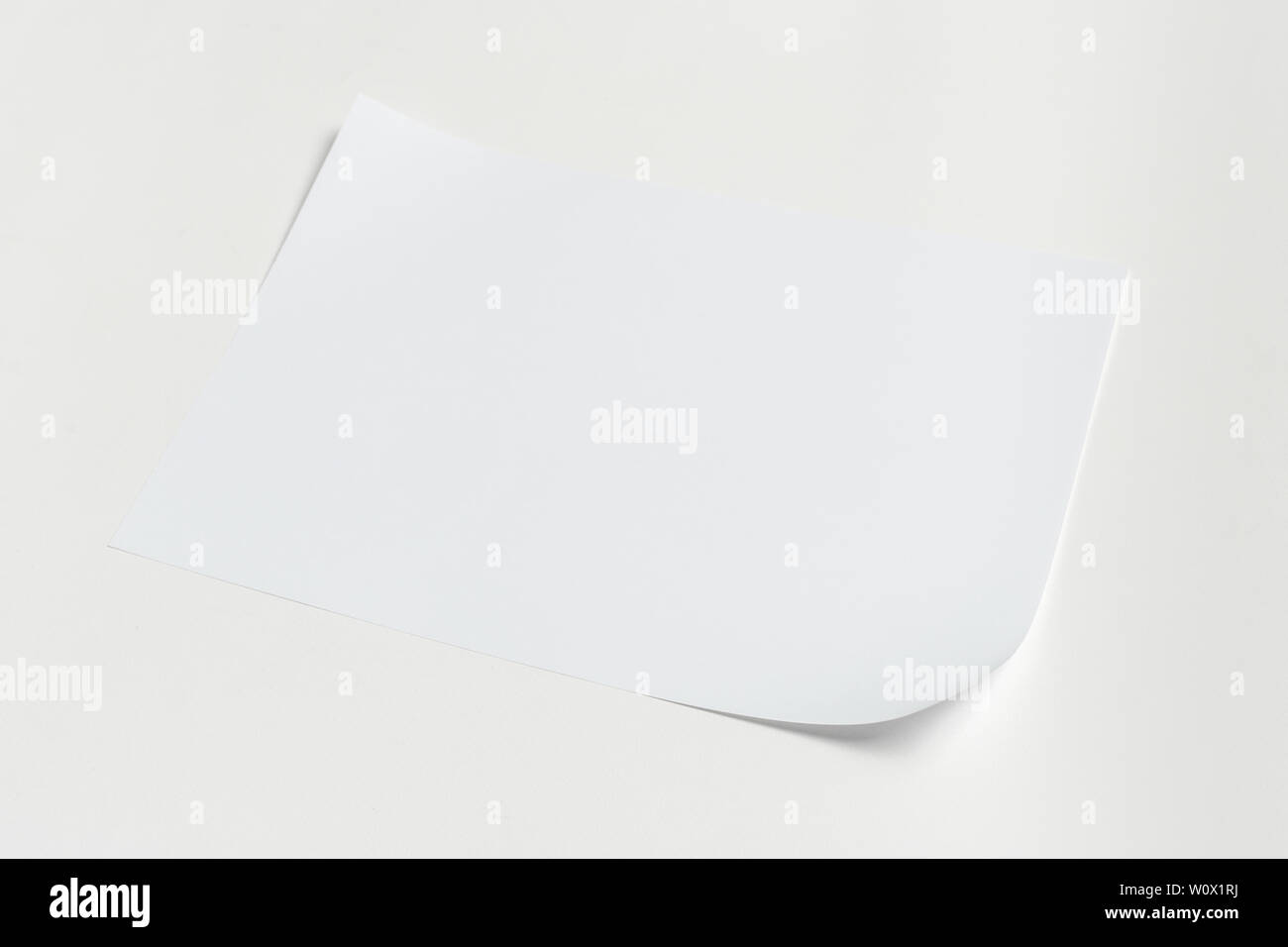 White business card on wooden table blank portrait a4 stock photo alamy