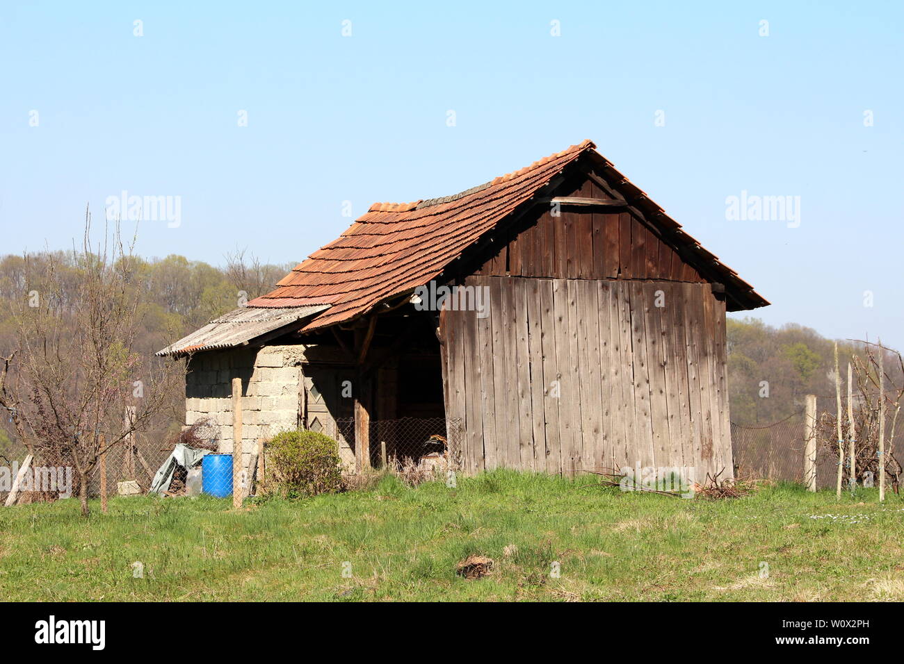 Dilapidated cracked small outdoor storage structure made of wooden boards  and concrete building blocks surrounded with uncut grass and dense trees  Stock Photo - Alamy, image size:1300x956