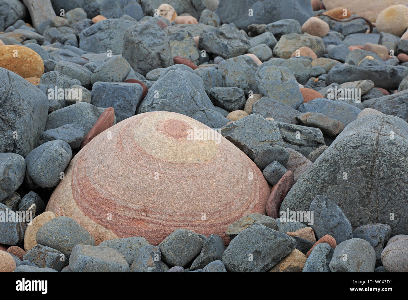 Coloured Pebbles on the beach at Rackwick Bay Hoy Scotland Stock Photo