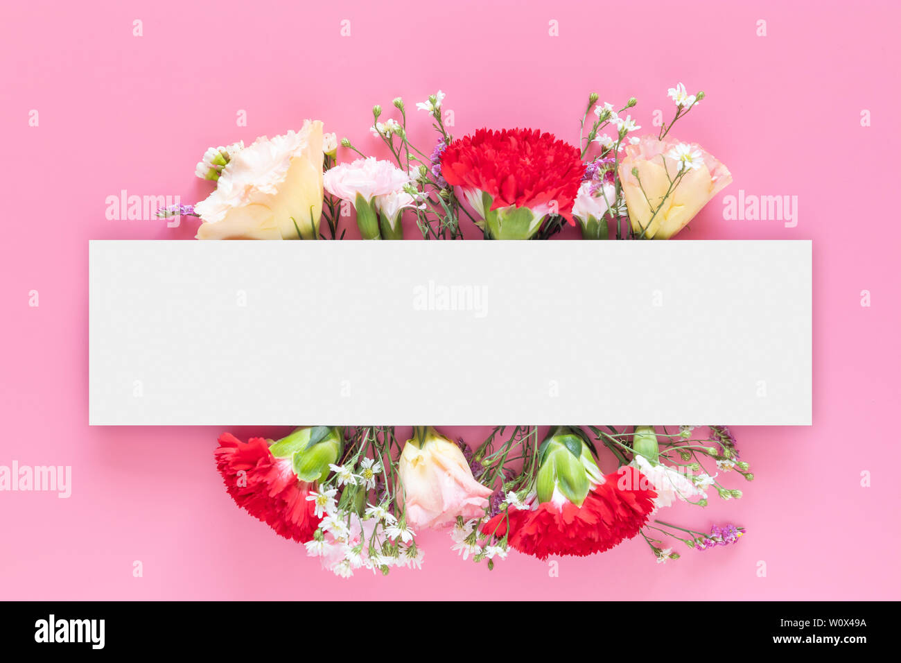 creative layout made with fresh colorful spring flowers on bright pink background with white rectangle bar banner label. wedding invitation, posters o Stock Photo