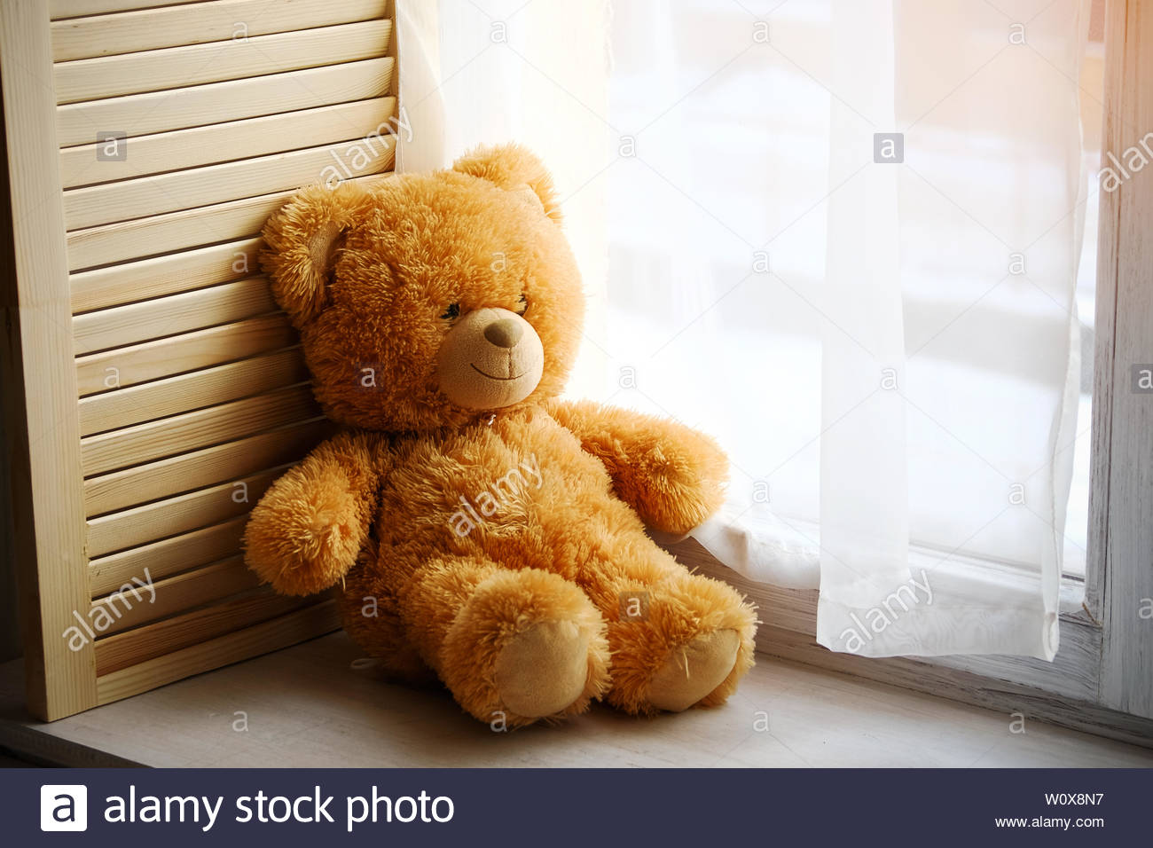 a little teddy bear
