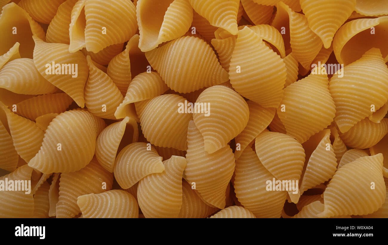 Conch dinner hires stock photography and images Alamy