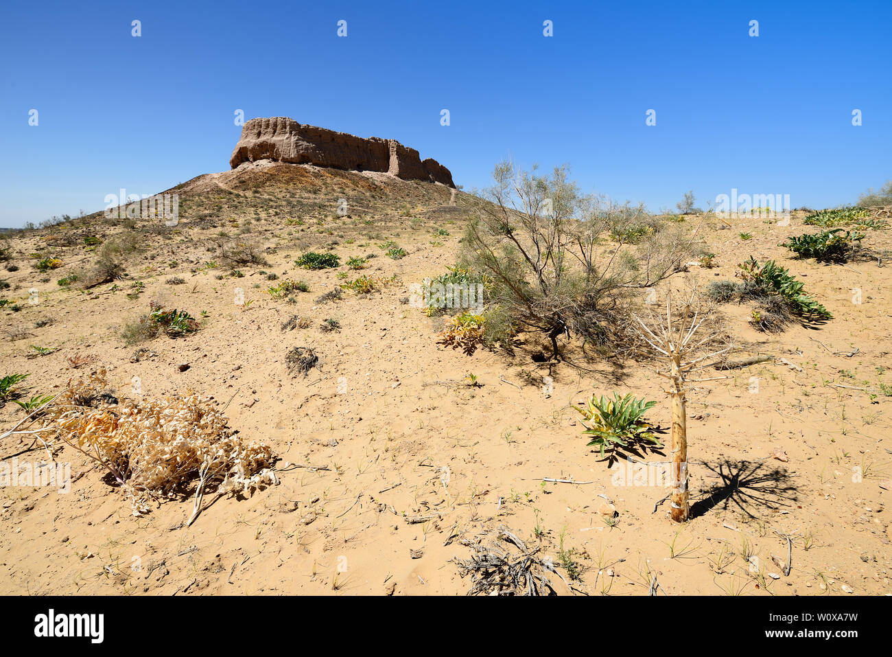 Uzbekistan,the largest ruins castles of ancient Khorezm – Ayaz - Kala Stock Photo