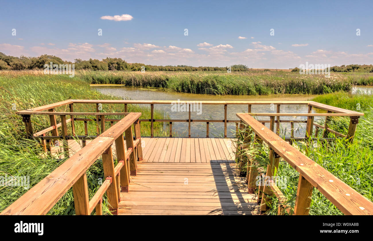 Tablas de Daimiel, Spain Stock Photo Alamy