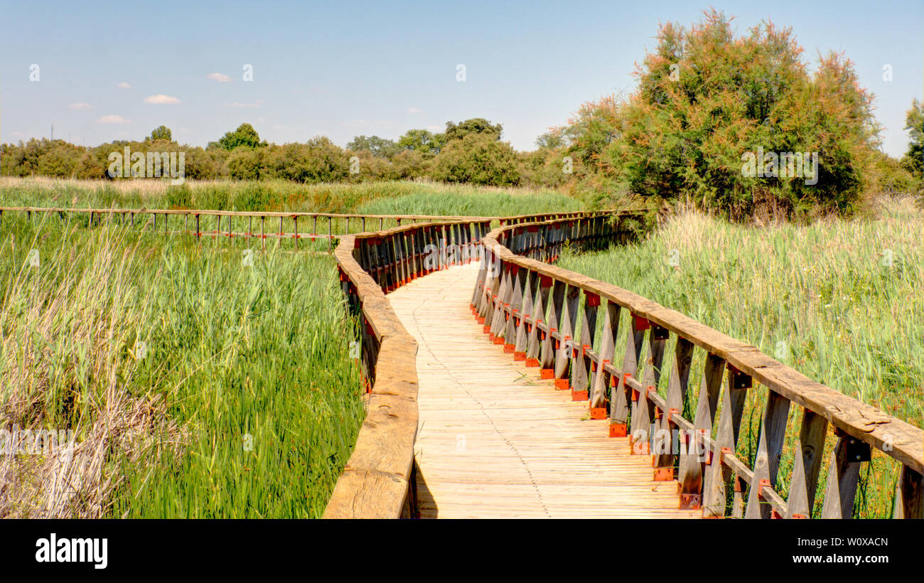 Tablas de Daimiel, Spain Stock Photo Alamy