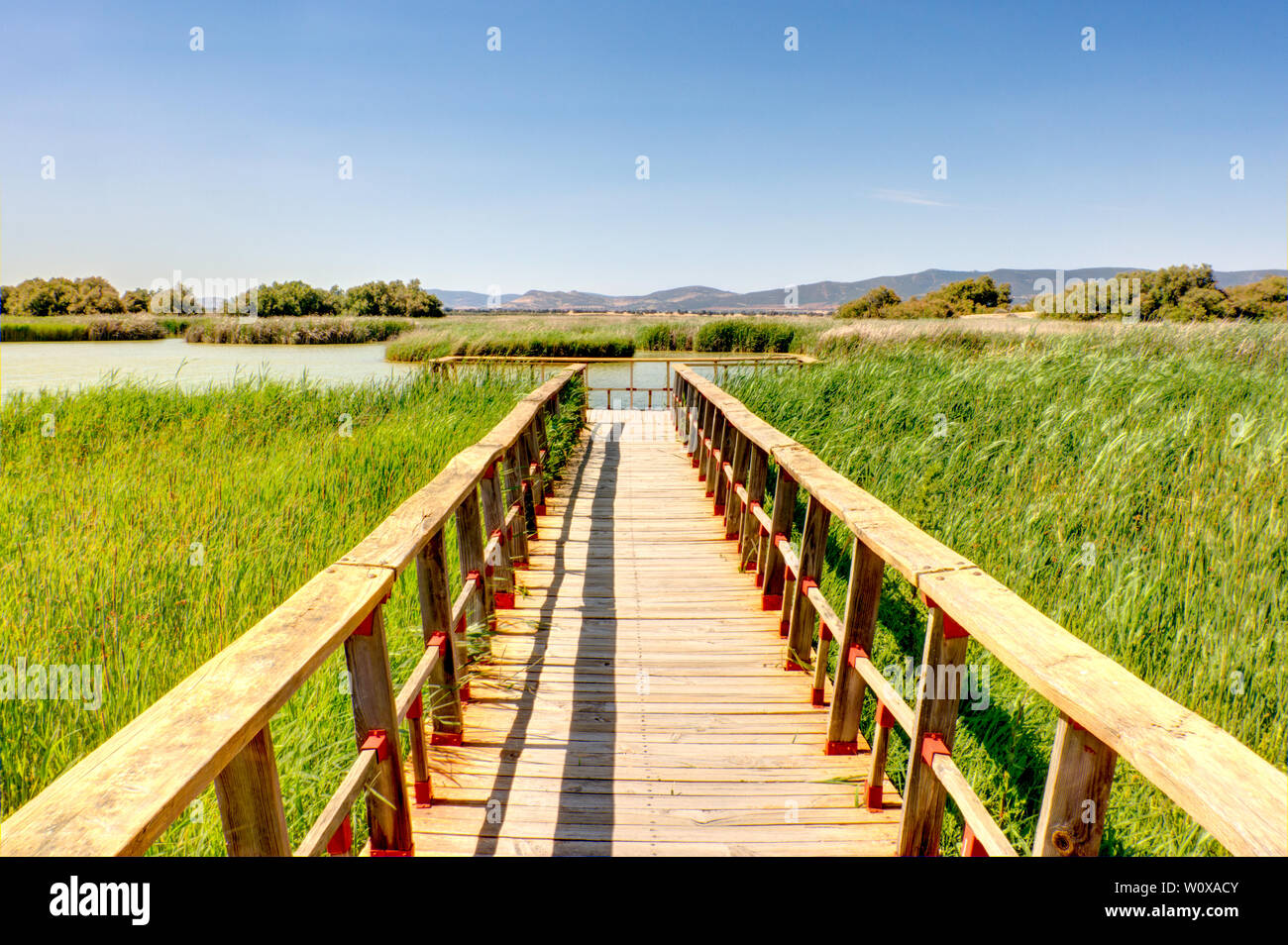 Tablas de Daimiel, Spain Stock Photo Alamy