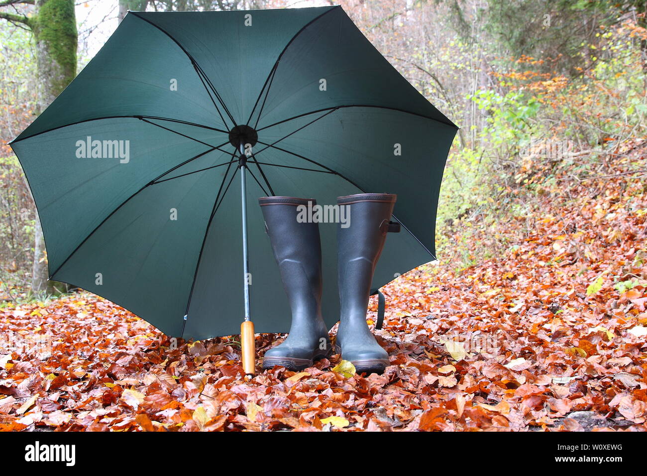 Accessories for rainy days in autumn. Stock Photo