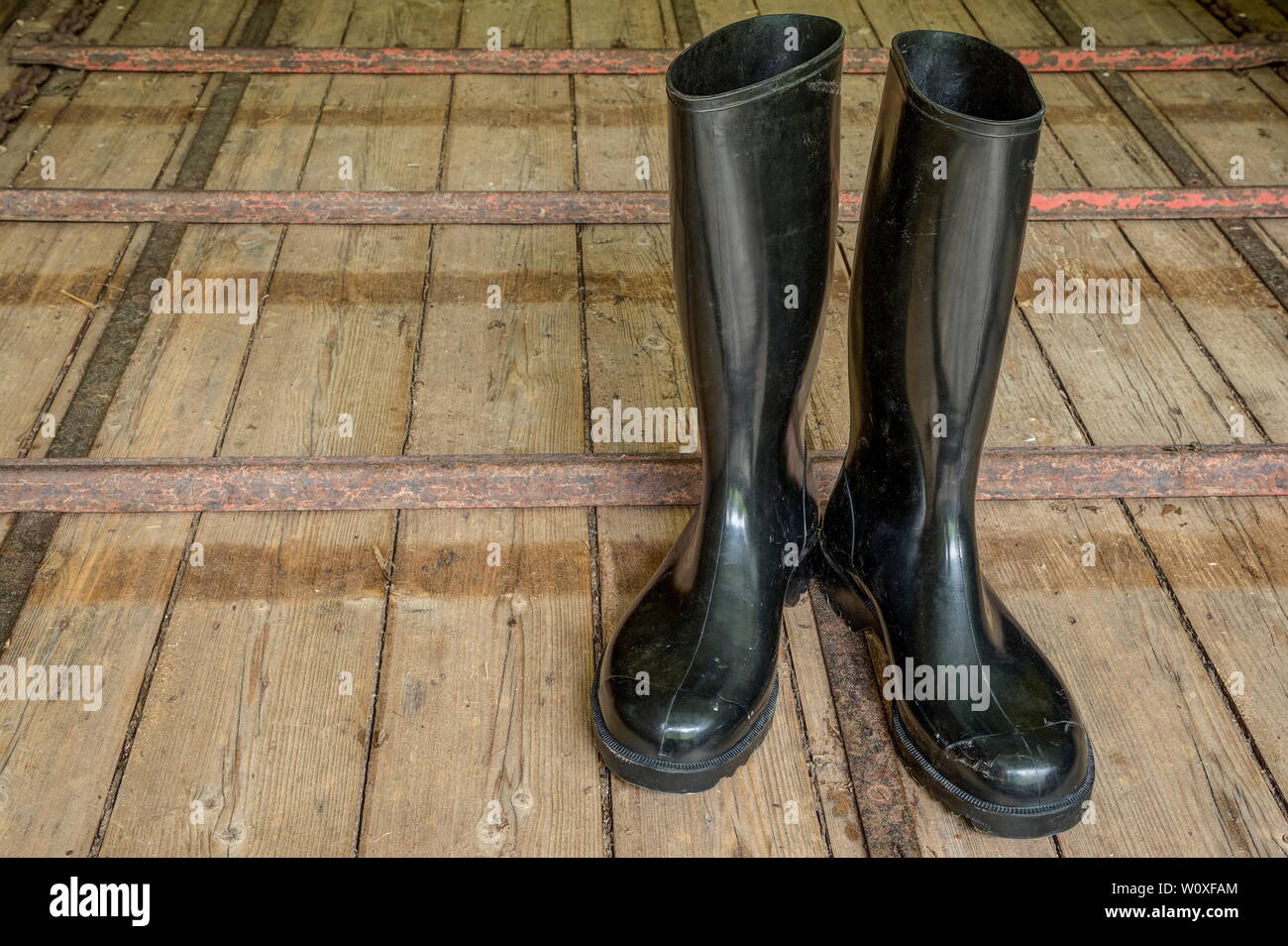 Rubber boots for agriculture. Black shiny rubber boots and agricultural