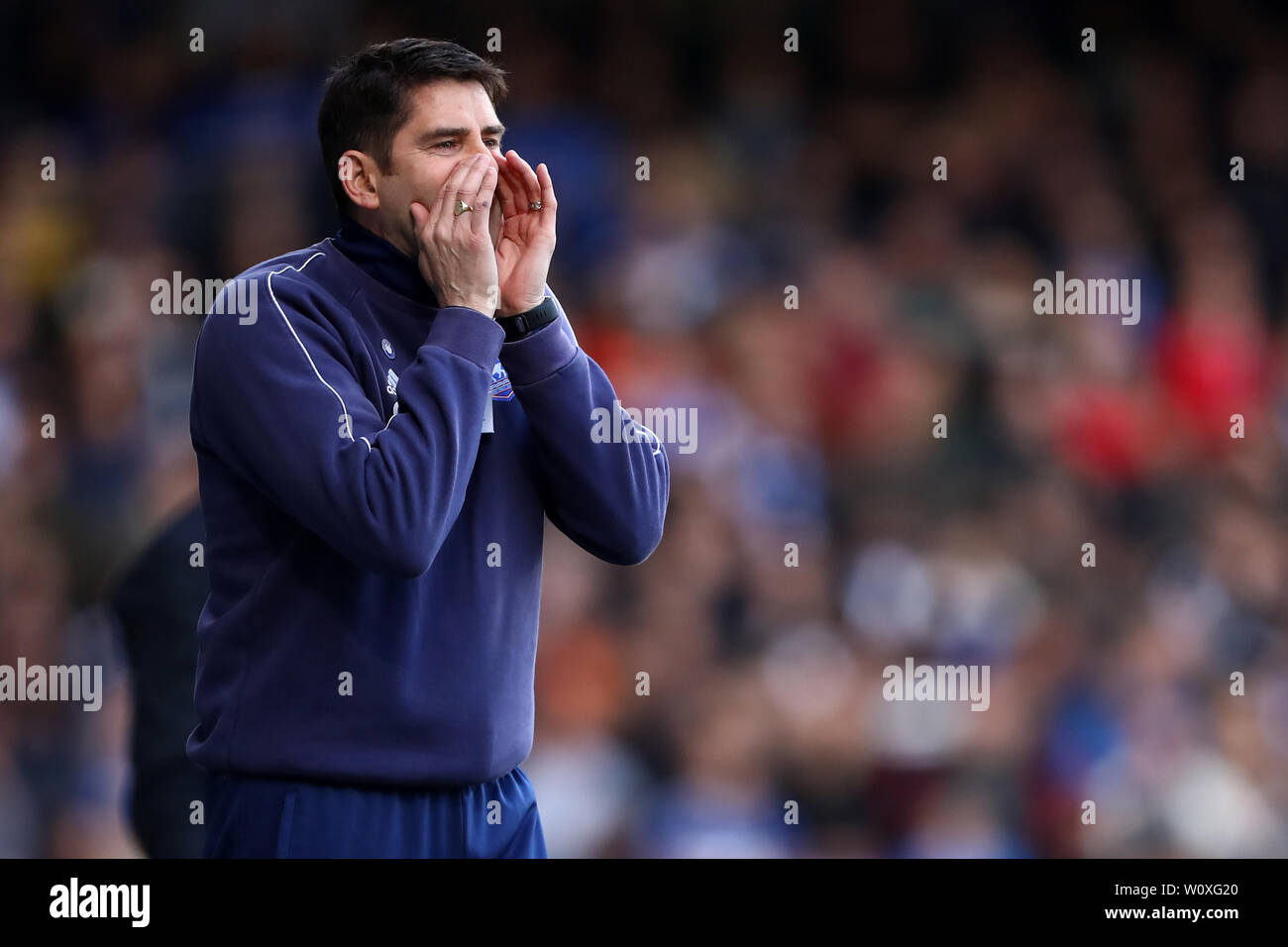 Assistant Manager of Ipswich Town, Stuart Taylor - Ipswich Town v Reading, Sky Bet Championship, Portman Road, Ipswich - 2nd March 2019  Editorial Use Only - DataCo restrictions apply Stock Photo