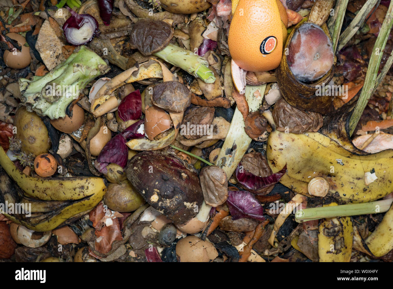 Garden compost bin hires stock photography and images Alamy
