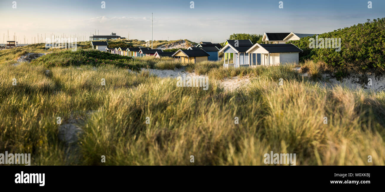 Beach huts and sand dunes at the beach at Skanor, Skane, Sweden, Scandinavia Stock Photo