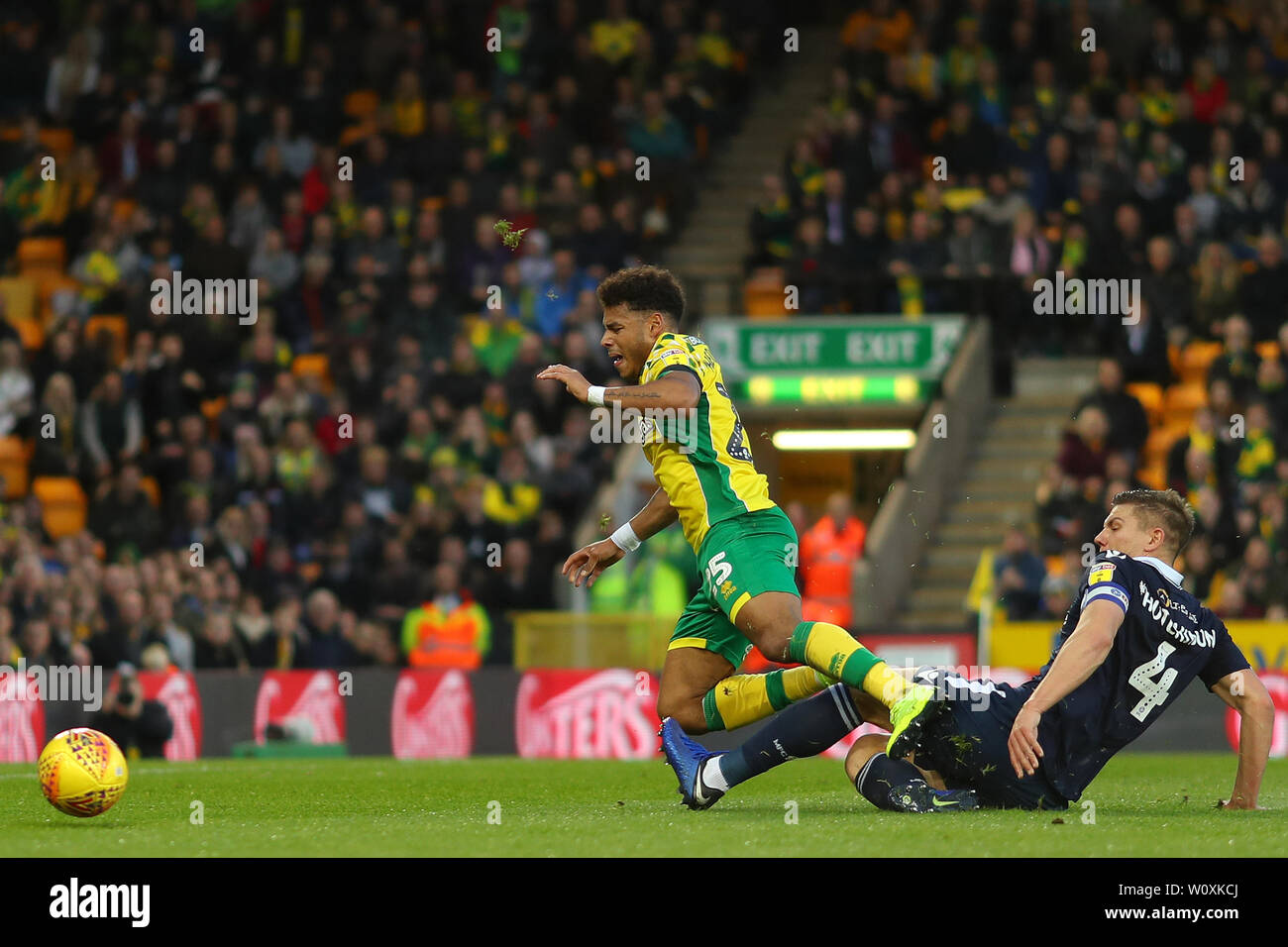 Onel Hernandez of Norwich City goes down in the penalty area after a challenge from Shaun Hutchinson of Millwall - Norwich City v Millwall, Sky Bet Championship, Carrow Road, Norwich - 10th November 2018 Stock Photo