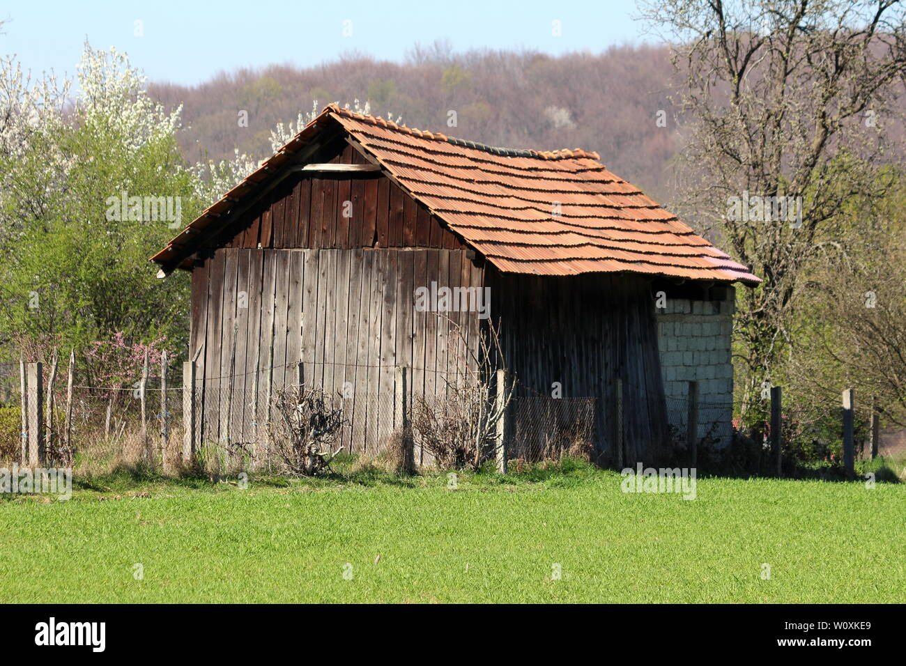 Small dilapidated outdoor storage structure made of wooden boards and  concrete building blocks surrounded with grass and dense trees in  background Stock Photo - Alamy, image size:1300x956