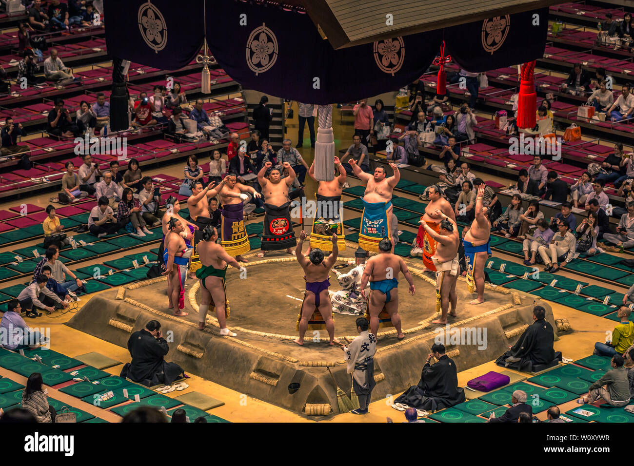 Tokyo - May 19, 2019: Sumo wrestling match in the Ryogoku arena, Tokyo, Japan Stock Photo